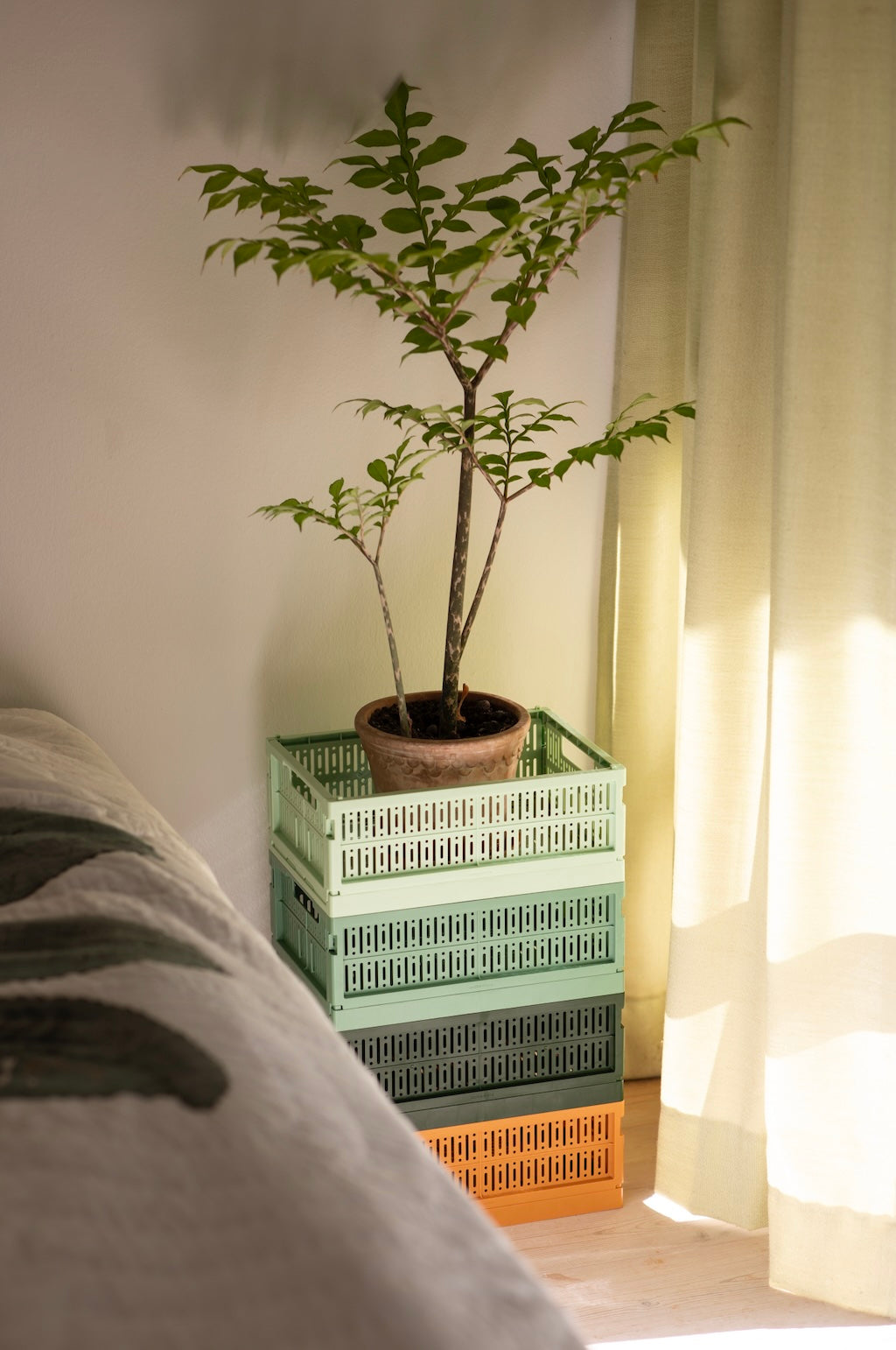 Caisse de rangement pliable (2 tailles)- Miel