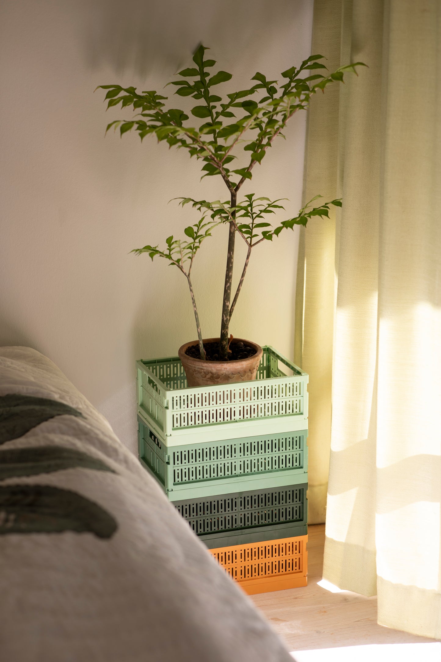 Caisse de rangement pliable (2 tailles)- Vert sauge